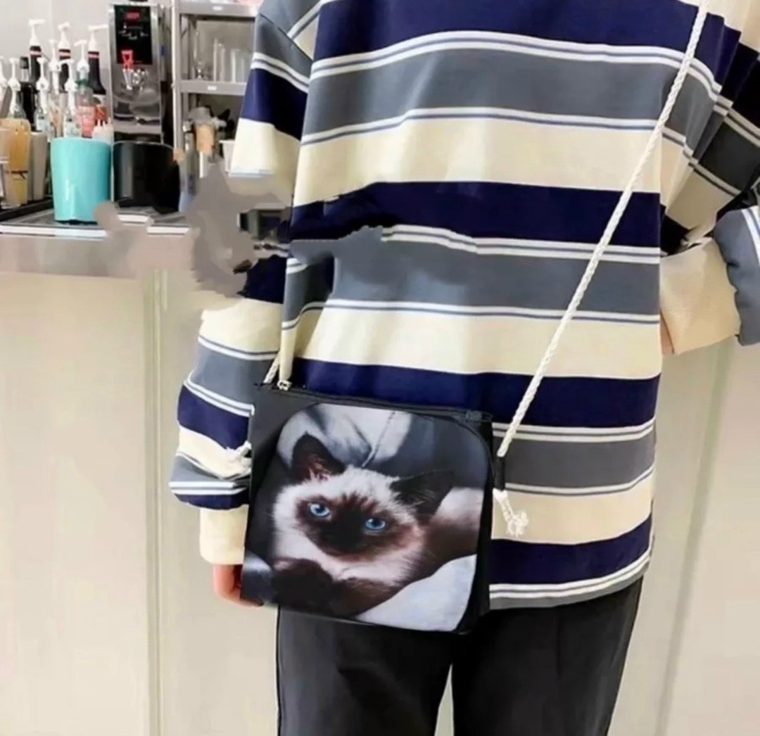 рюкзак с котом для школы,рюкзак,рюкзак с рисунком,рюкзак для кошек,рюкзак с принтом