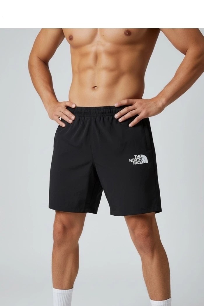 шорты the north face,мужские шорты the north face,мужские шорты,мужские спортивные шорты,шорты для бега
