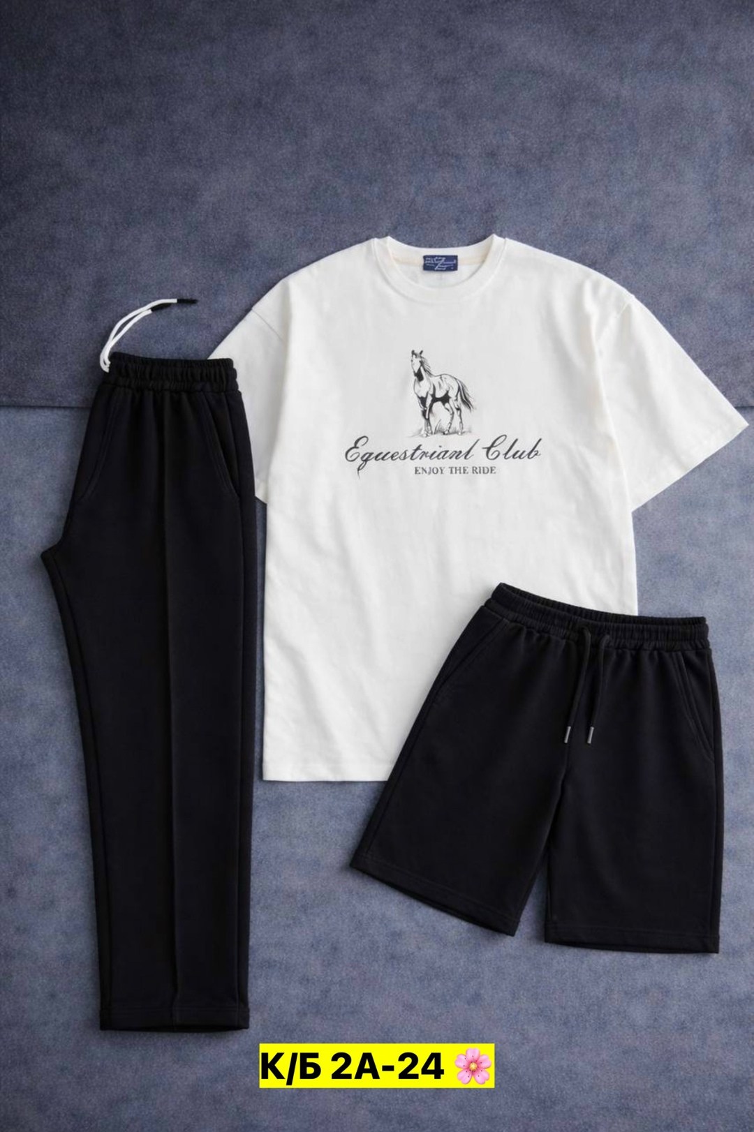 костюм двойка мужской,костюм для мужчин,костюм спортивный мужской,футболки комплект,одежда комплект