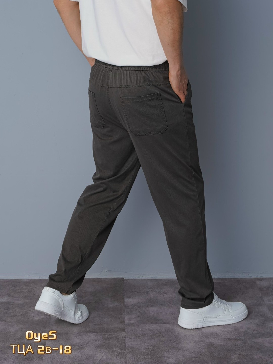 брюки мужские,повседневные брюки,спортивные брюки,брюки baror,мужские брюки спортивные