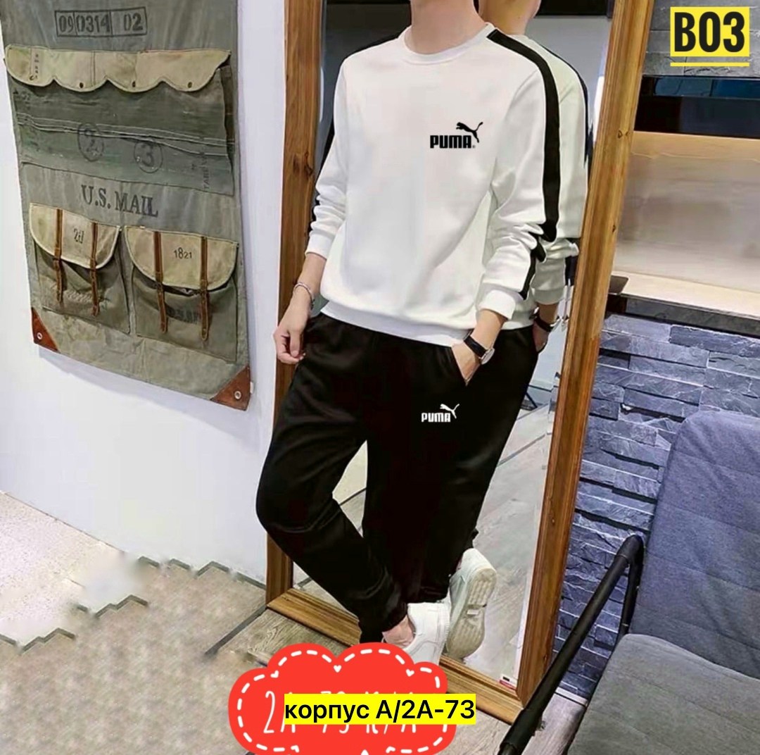 костюм спортивный мужской,костюм толстовка и брюки,костюм спортивный мужской puma,мужские спортивные костюмы 2026,костюм спортивный