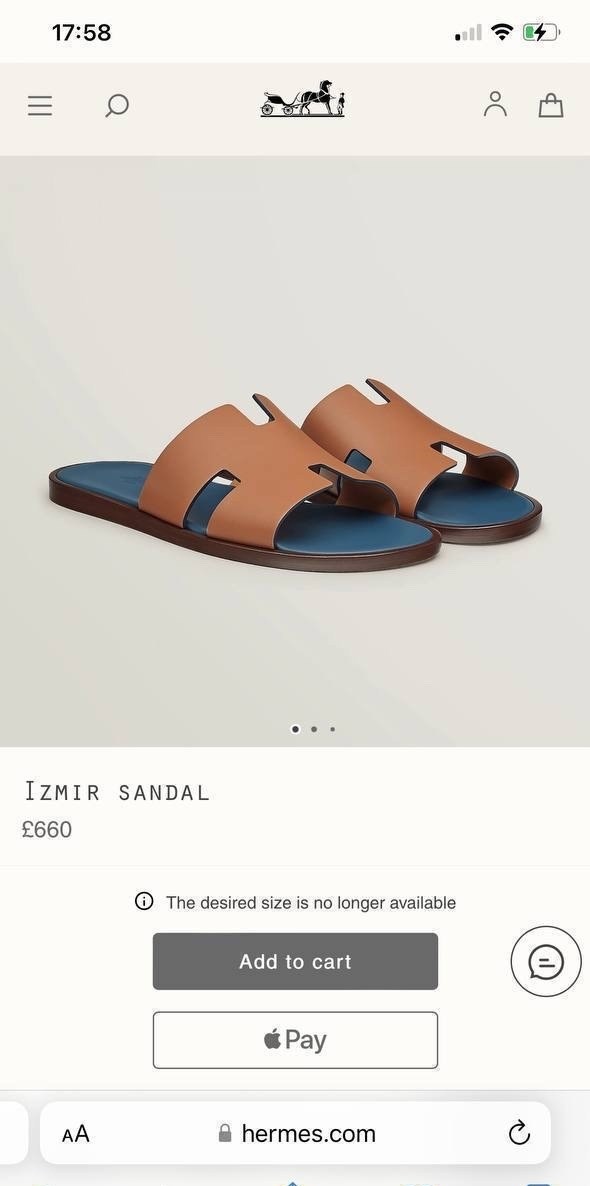 шлепанцы hermes,тапки гермес мужские,мужские шлепки гермес,тапочки хермес мужские,шлепки hermes мужские