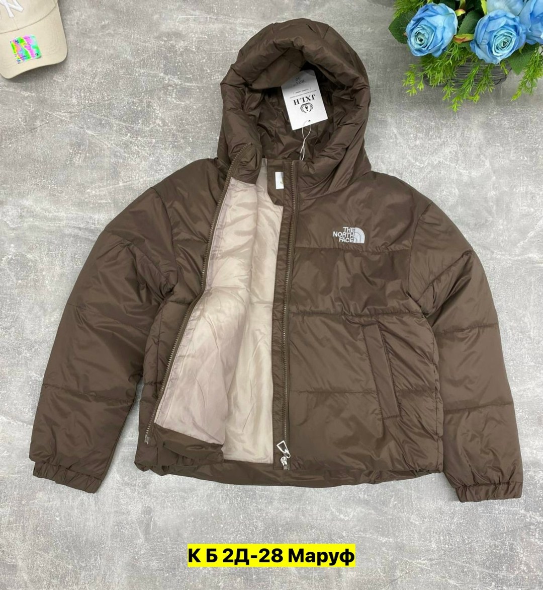 пуховик the north face,куртка пуховик the north face,пуховик the north face 700,куртка the north face,зимние куртки