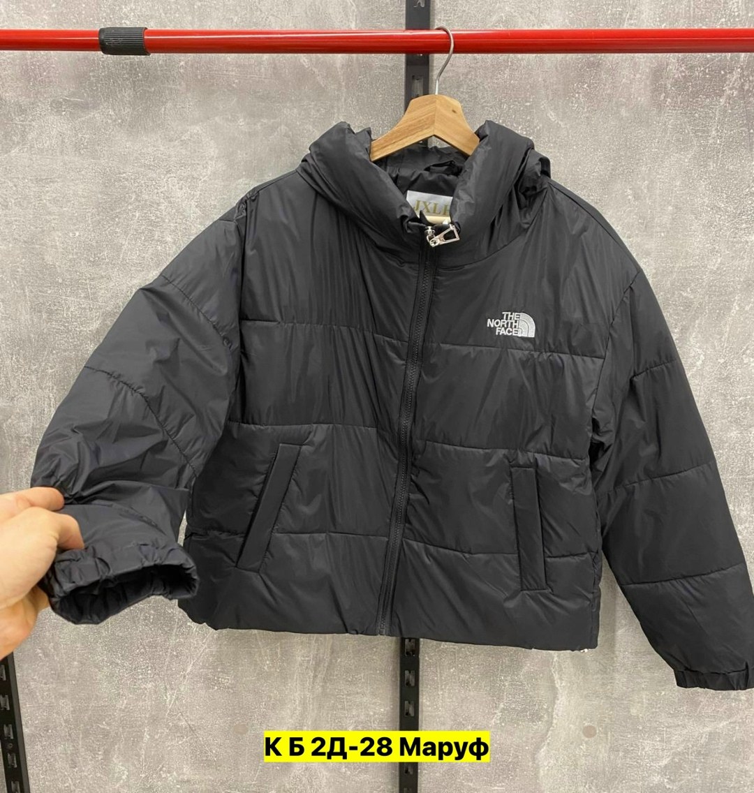 пуховик the north face,куртка пуховик the north face,пуховик the north face 700,куртка the north face,зимние куртки