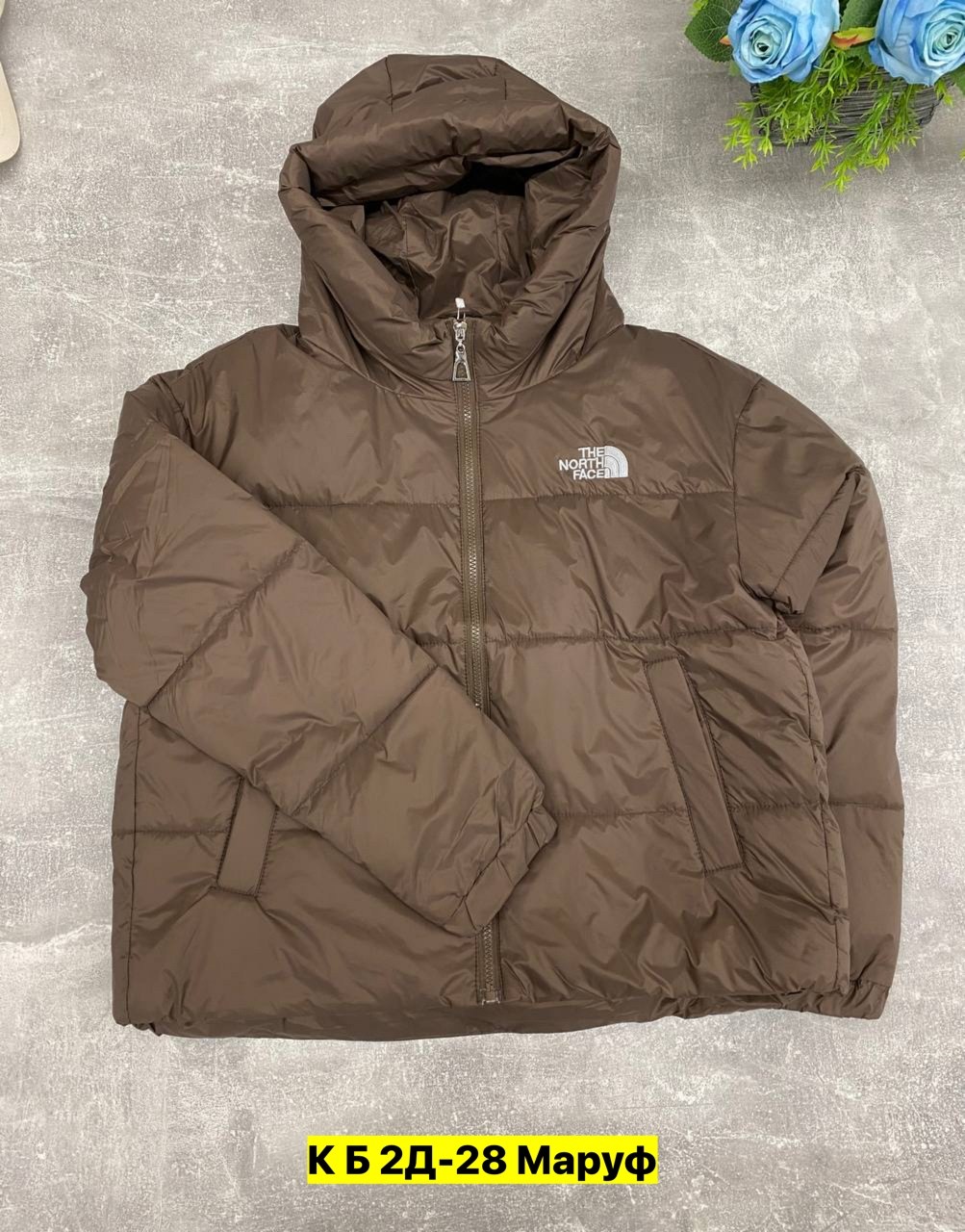 пуховик the north face,куртка пуховик the north face,пуховик the north face 700,куртка the north face,зимние куртки