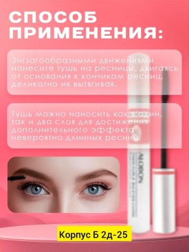 Одежда