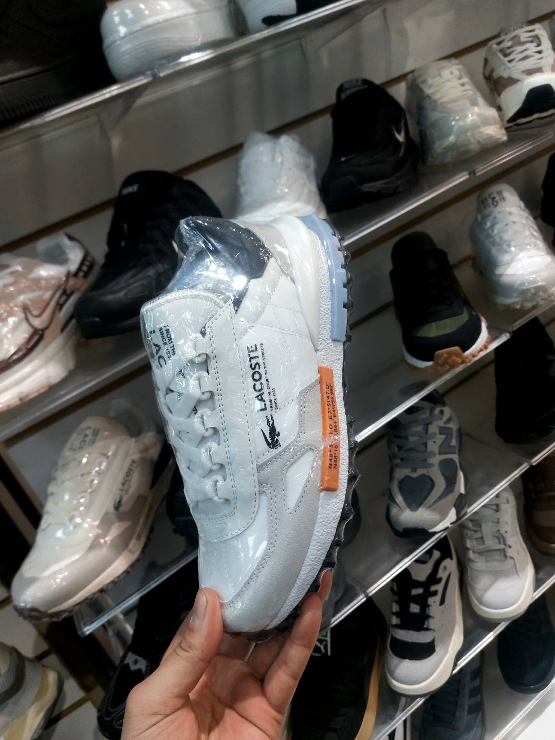 кроссовки lacoste,кроссовки спортивные lacoste elita active,кроссовки lacoste elite active,кроссовки мужские lacoste,