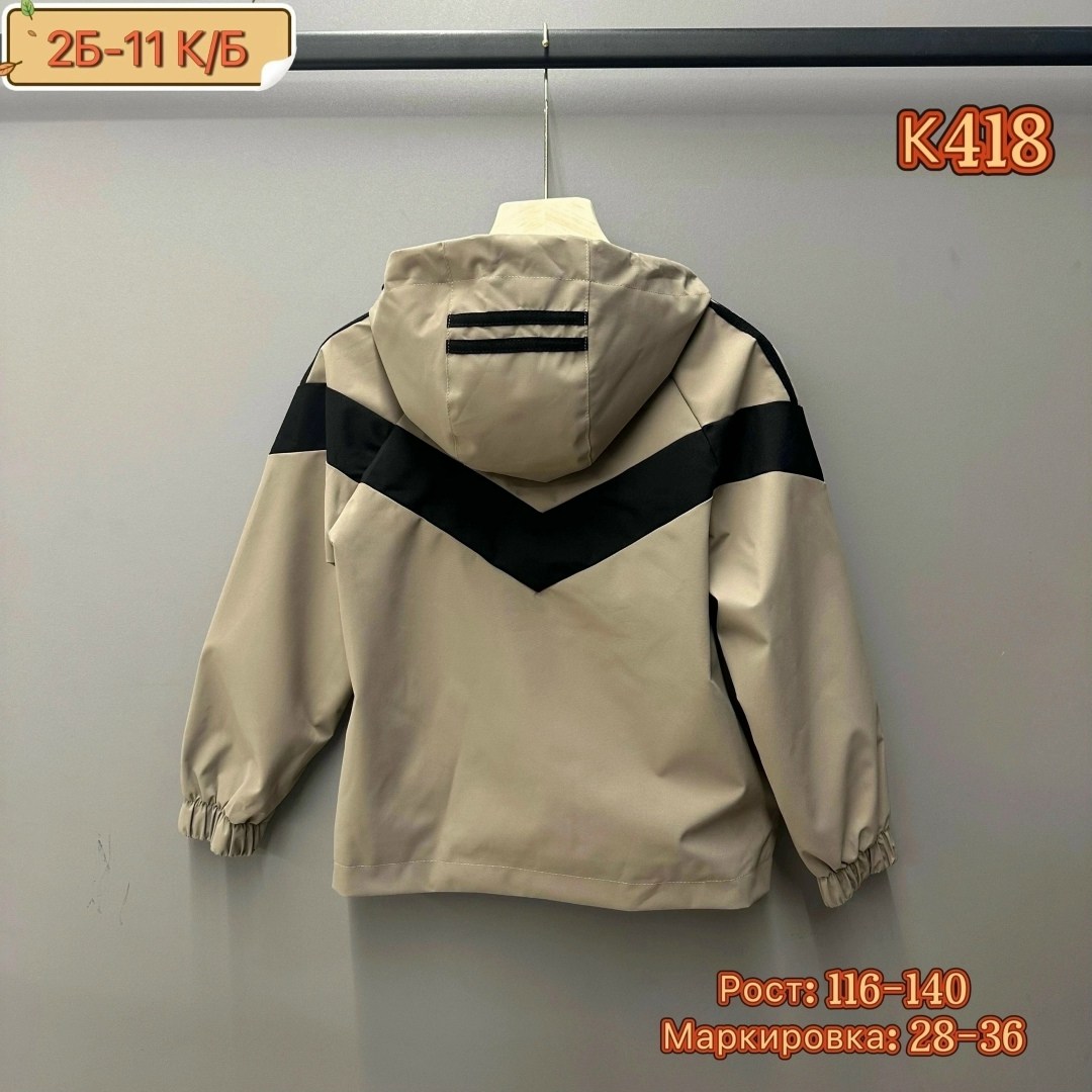ветровка демисезонная,ветровка демисезонная с капюшоном,демисезонная куртка,ветровка