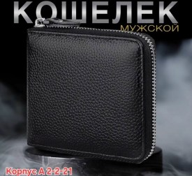 Одежда