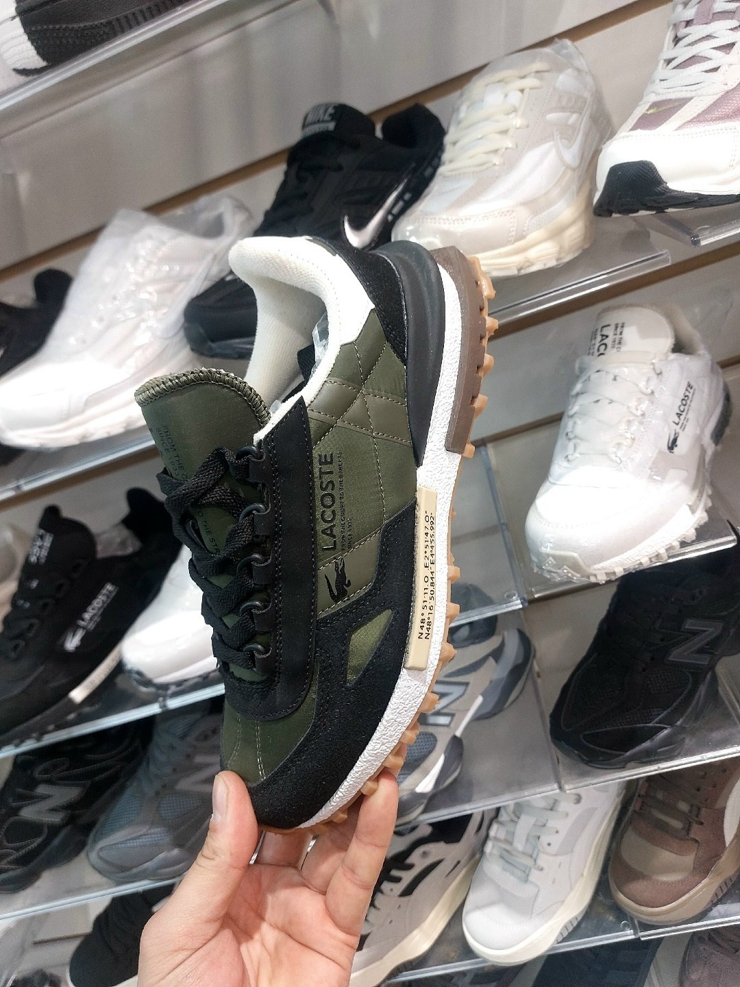 кроссовки lacoste,кроссовки спортивные lacoste elita active,кроссовки lacoste elite active,кроссовки мужские lacoste,