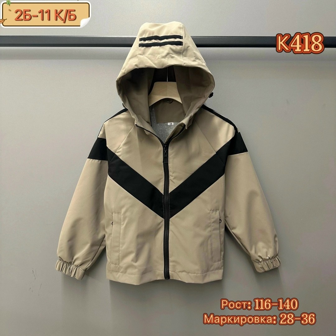 ветровка демисезонная,ветровка демисезонная с капюшоном,демисезонная куртка,ветровка