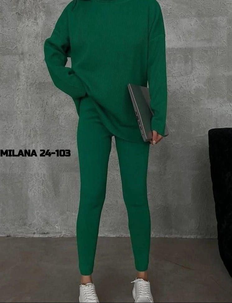 костюм женский,трикотажные костюмы,теплый костюм,женский трикотажный костюм,костюм женский на флисе