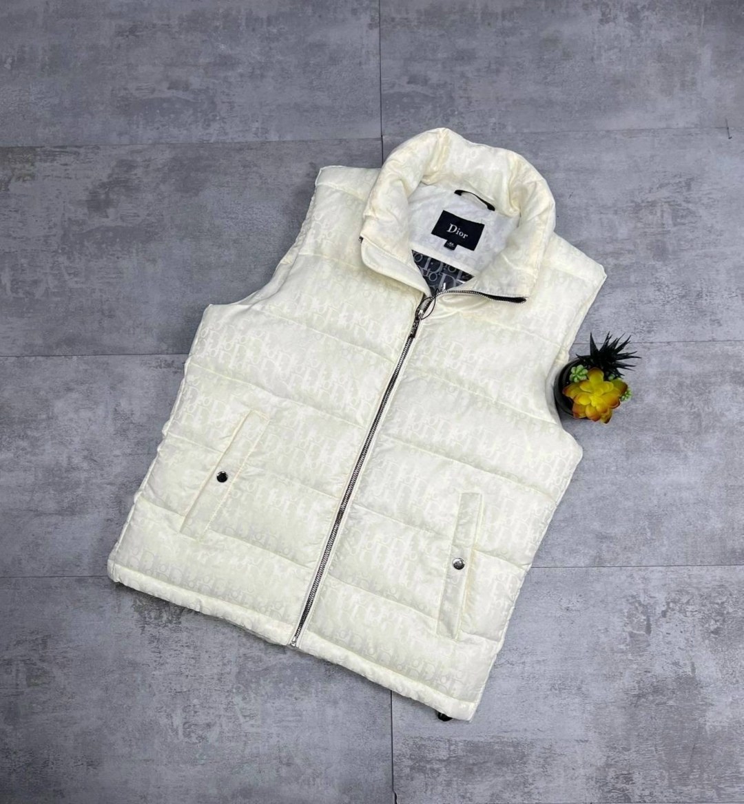 жилетка диор мужская,жилетка dior,жилетка мужская утепленная,жилетка мужская,жилетка диор