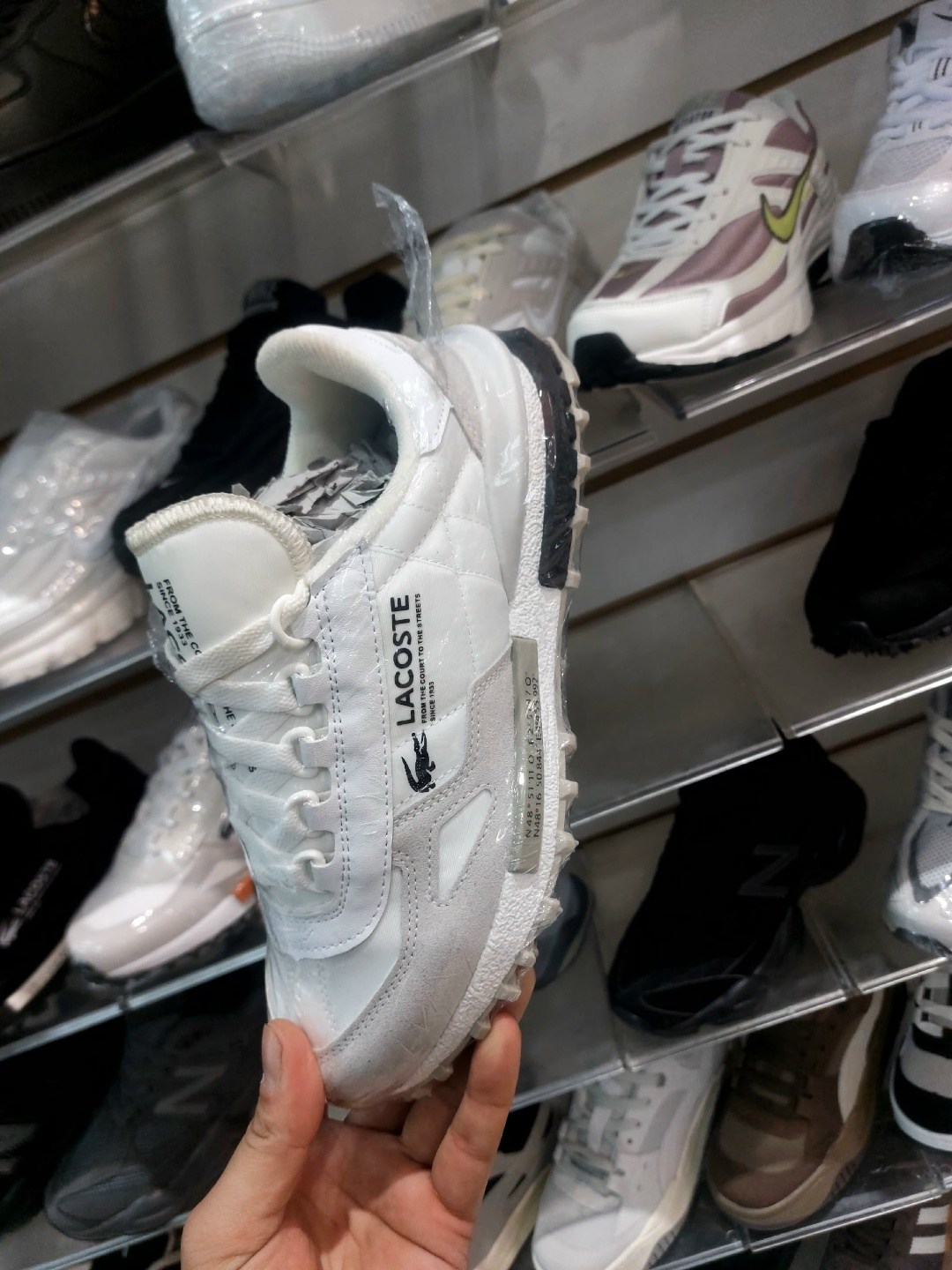 кроссовки lacoste,кроссовки спортивные lacoste elita active,кроссовки lacoste elite active,кроссовки мужские lacoste,