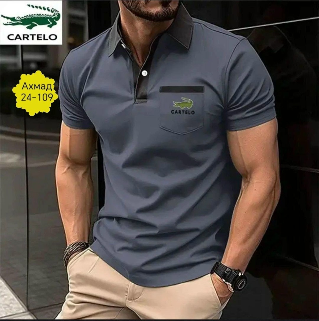 футболка поло мужская,футболки мужские,мужская рубашка поло,мужская повседневная рубашка,мужская рубашка поло с короткими рукавами