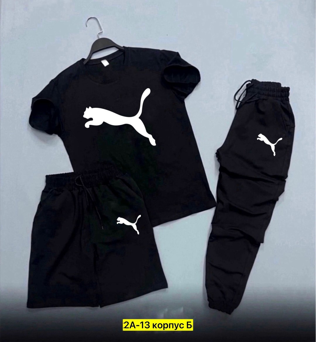 спортивные костюмы мужские,спортивный костюм the north face,спортивные костюмы,спортивный костюм мужской nike,летний спортивный костюм