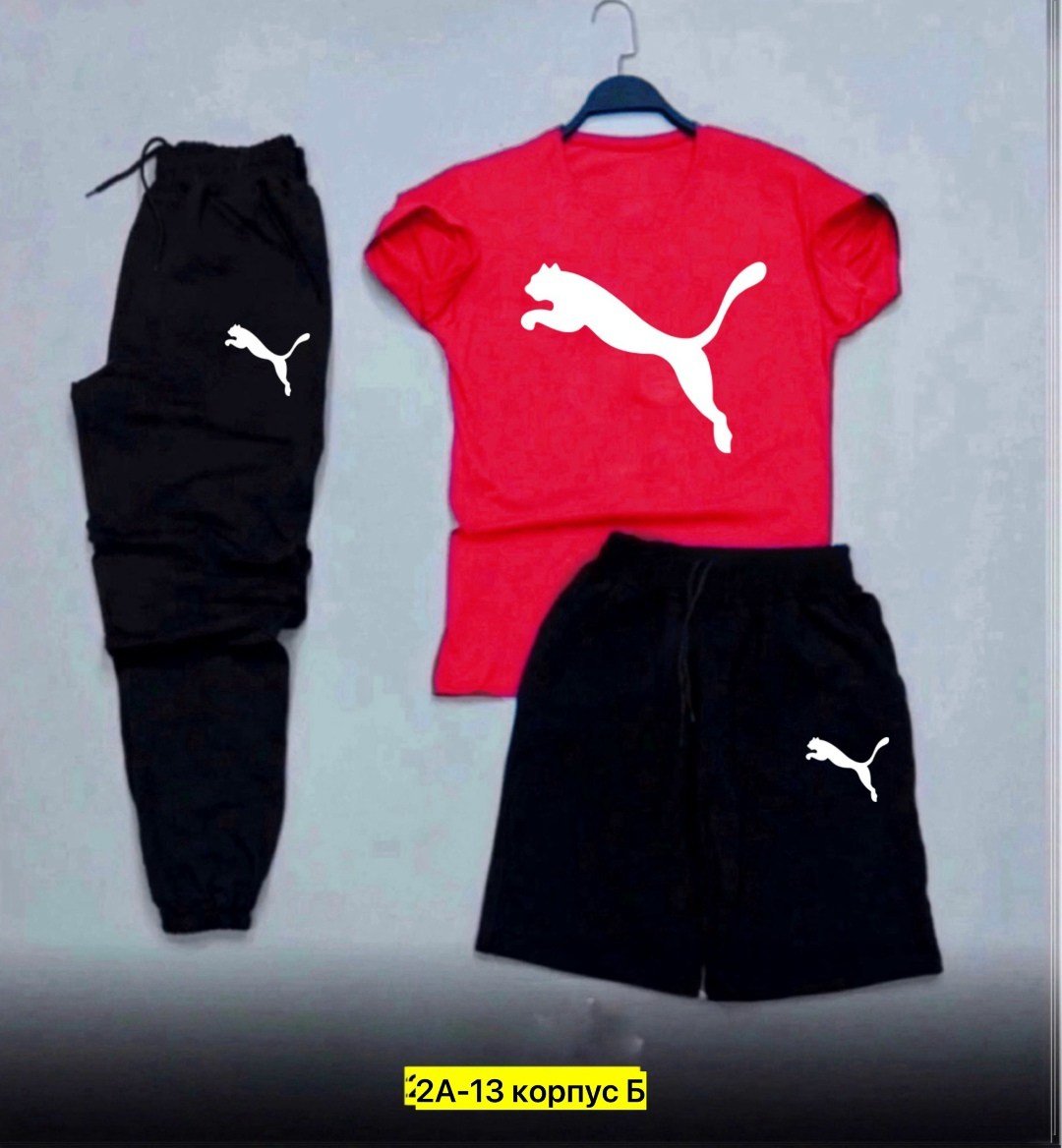 спортивные костюмы мужские,спортивный костюм the north face,спортивные костюмы,спортивный костюм мужской nike,летний спортивный костюм