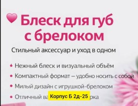 Одежда