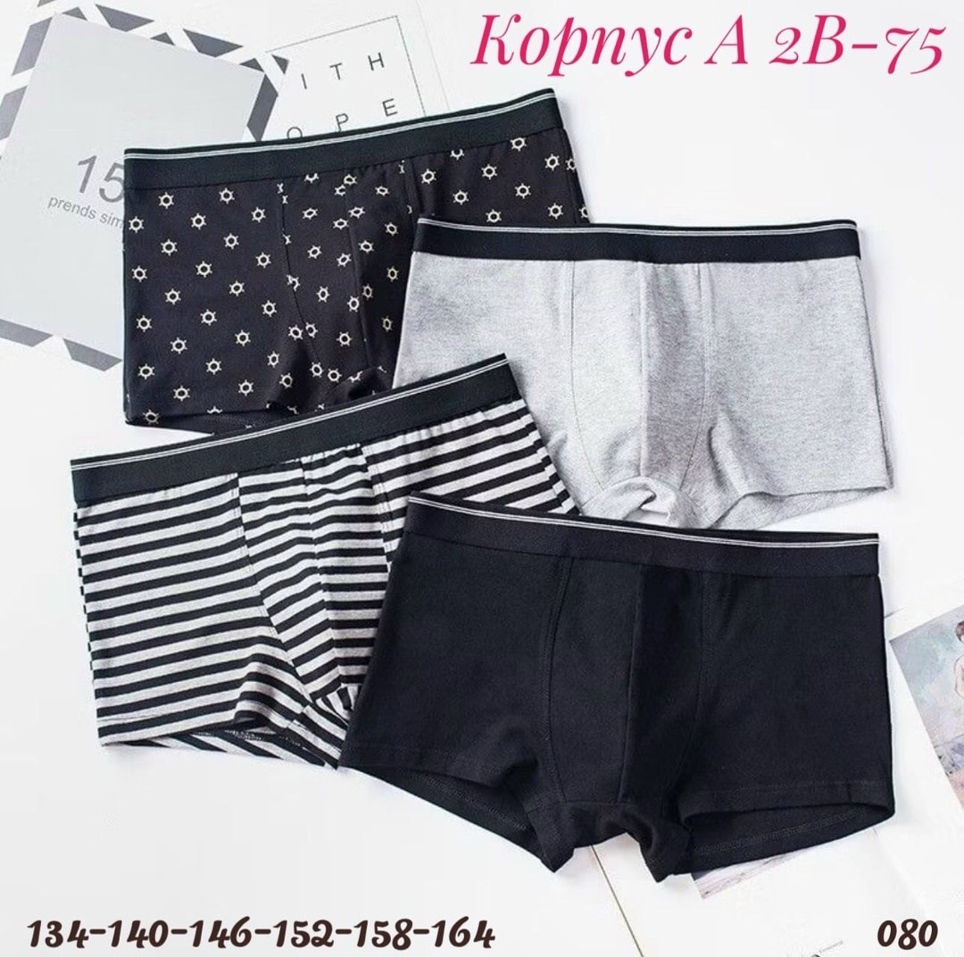 трусы-боксеры д/м 0 р.86-92  baykar , 3336-359,трусы байкар для мальчика,комплект трусов боксеры baykar для мальчиков,трусы боксеры для мальчика,комплект трусов боксеры baykar