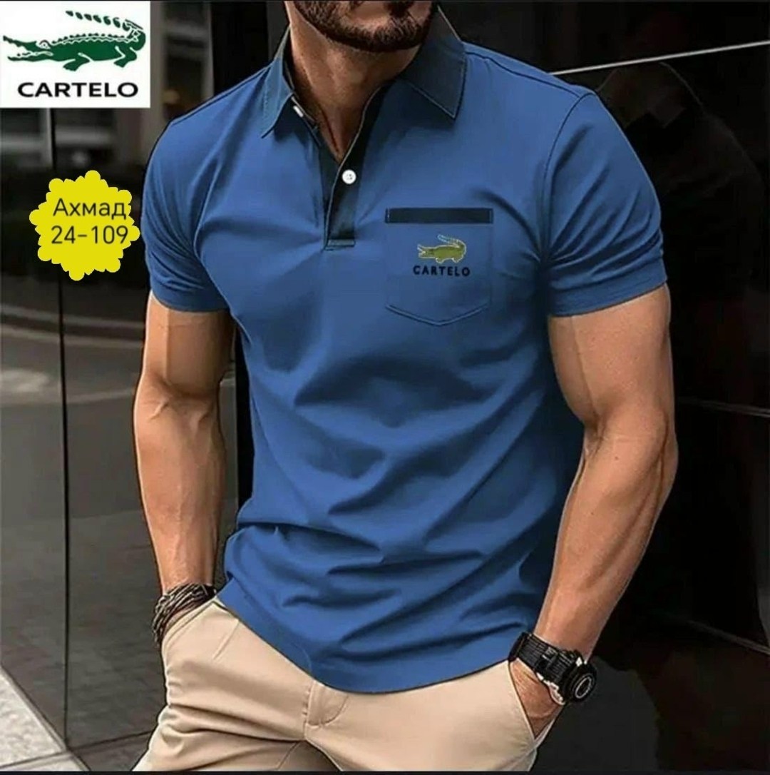 футболка поло мужская,футболки мужские,мужская рубашка поло,мужская повседневная рубашка,мужская рубашка поло с короткими рукавами