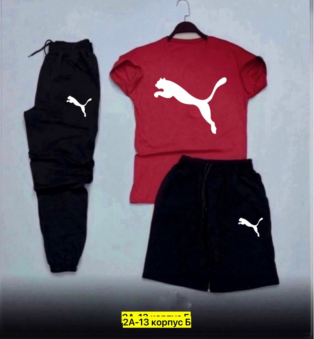 спортивные костюмы мужские,спортивный костюм the north face,спортивные костюмы,спортивный костюм мужской nike,летний спортивный костюм