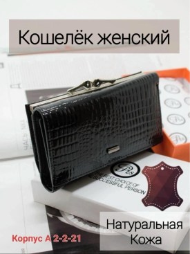 Одежда