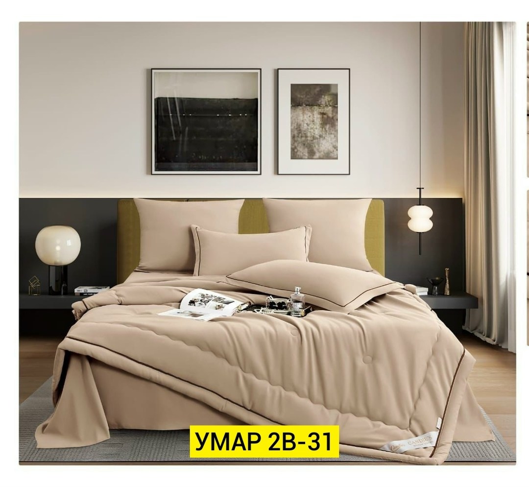 комплект постельного белья с одеялом евро,постельное белье с одеялом комплект,постельное белье с одеялом евро,комплект постельного белье евро,постельного белья с одеялом