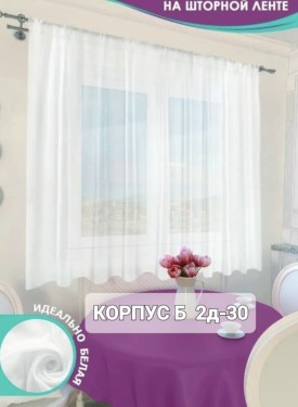 Одежда