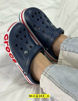 Сланцы
