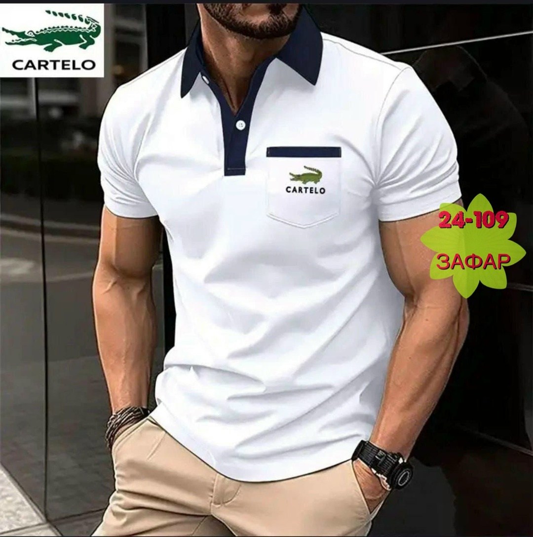 футболка поло мужская,мужская рубашка поло,футболки мужские,мужская повседневная рубашка,мужская мода