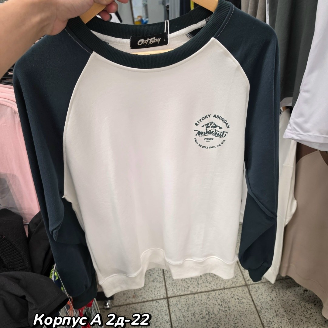 мужские свитшоты,свитшот мужская,толстовка,лонгсливы мужские,свитшот