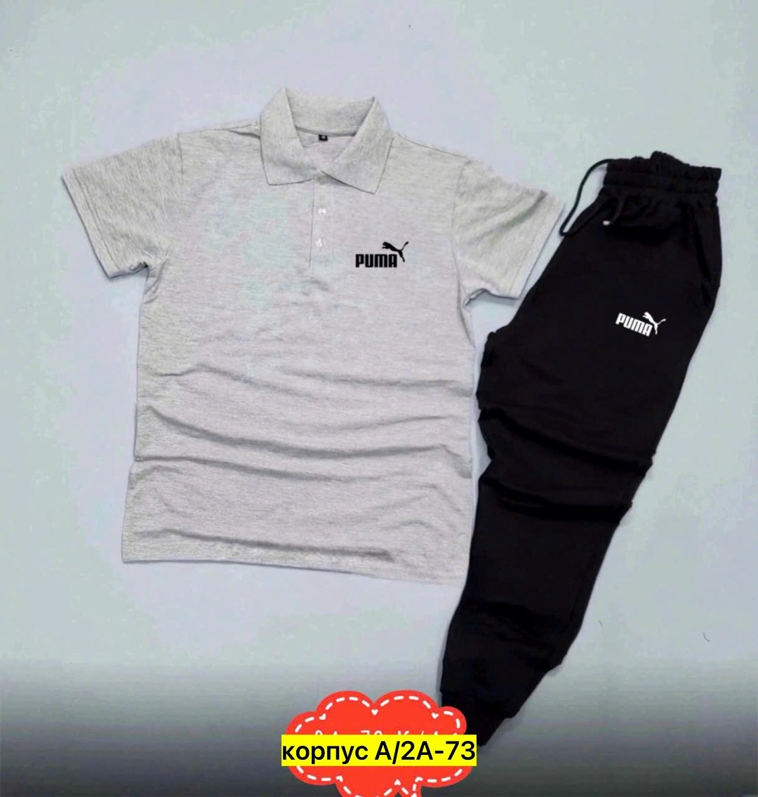 спортивный костюм мужской puma,мужские спортивные костюмы,спортивные костюм,костюм мужской puma,костюм поло