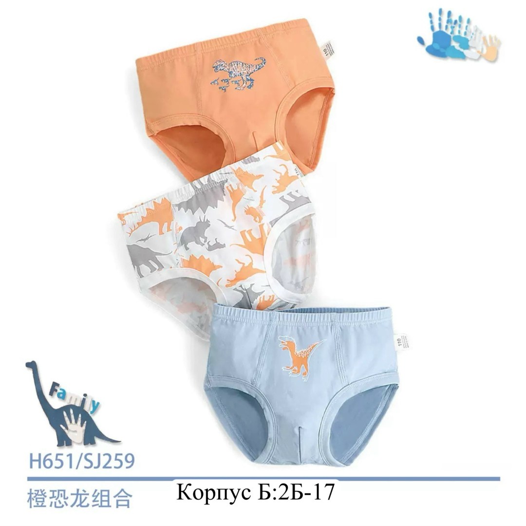 трусы для мальчиков,детские нижнее белье,детские трусы,трусы для мальчика детские,детские трусы трикотажные