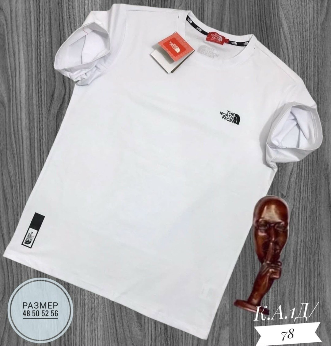 мужские футболки the north face,футболки the north face,футболка бежевая the north face,мужская футболка,универсальные футболки