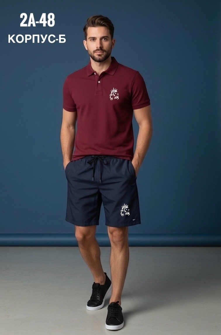 шорты мужские,шорты для мужчин,мужская футболка поло,мужская мода,мужская рубашка поло