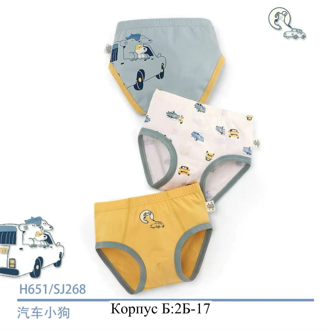 трусы для мальчиков,детские нижнее белье,детские трусы,трусы для мальчика детские,детские трусы трикотажные