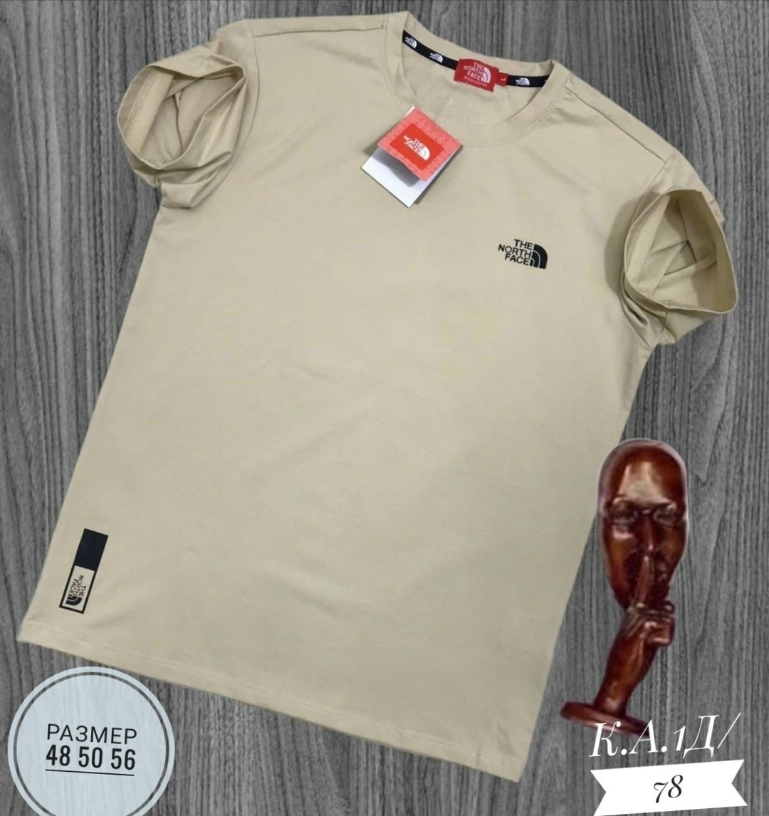 мужские футболки the north face,футболки the north face,футболка бежевая the north face,мужская футболка,универсальные футболки