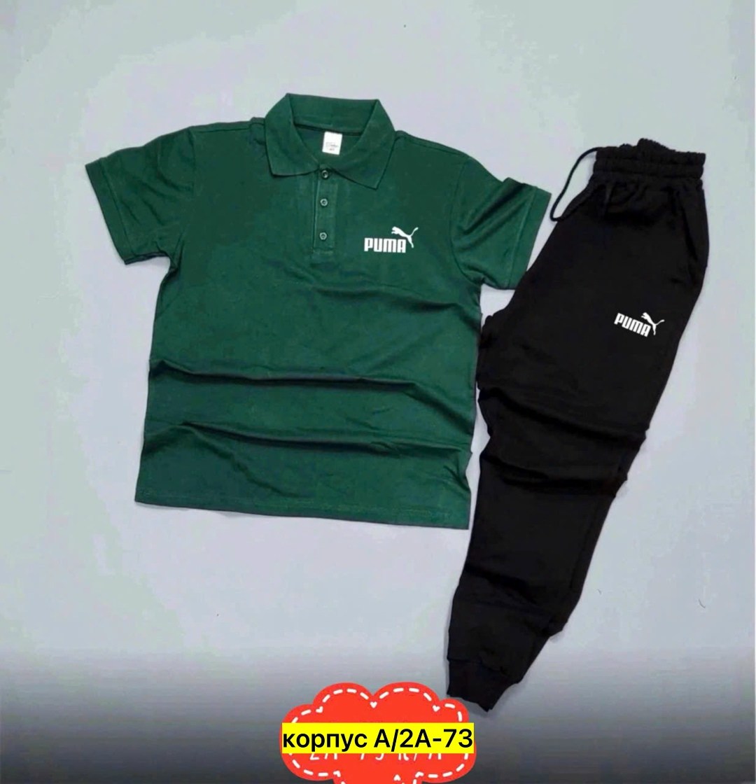 спортивный костюм мужской puma,мужские спортивные костюмы,спортивные костюм,костюм мужской puma,костюм поло