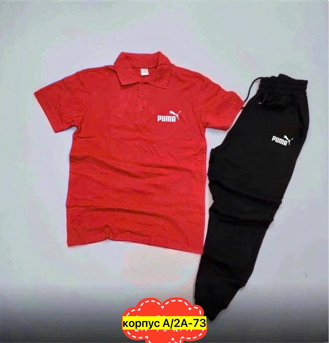 спортивный костюм мужской puma,мужские спортивные костюмы,спортивные костюм,костюм мужской puma,костюм поло