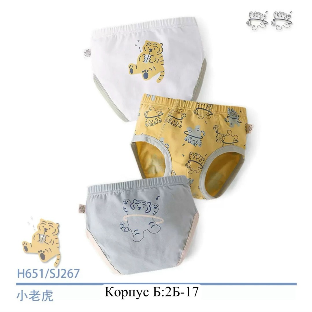 трусы для мальчиков,детские нижнее белье,детские трусы,трусы для мальчика детские,детские трусы трикотажные