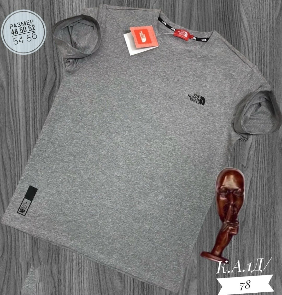 мужские футболки the north face,футболки the north face,футболка бежевая the north face,мужская футболка,универсальные футболки