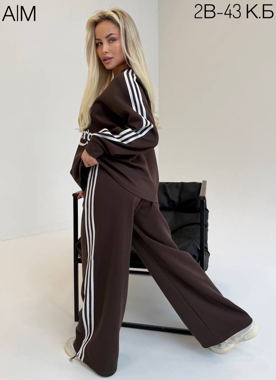 спортивный костюм,трикотажные костюмы,свитшот женская,женский костюм,спортивный костюм на флисе женский