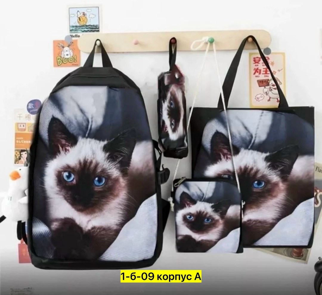 рюкзаки школьный для девочки подростков портфель,рюкзаки школьные,рюкзак с принтом,детские рюкзаки,сумка рюкзак школьная