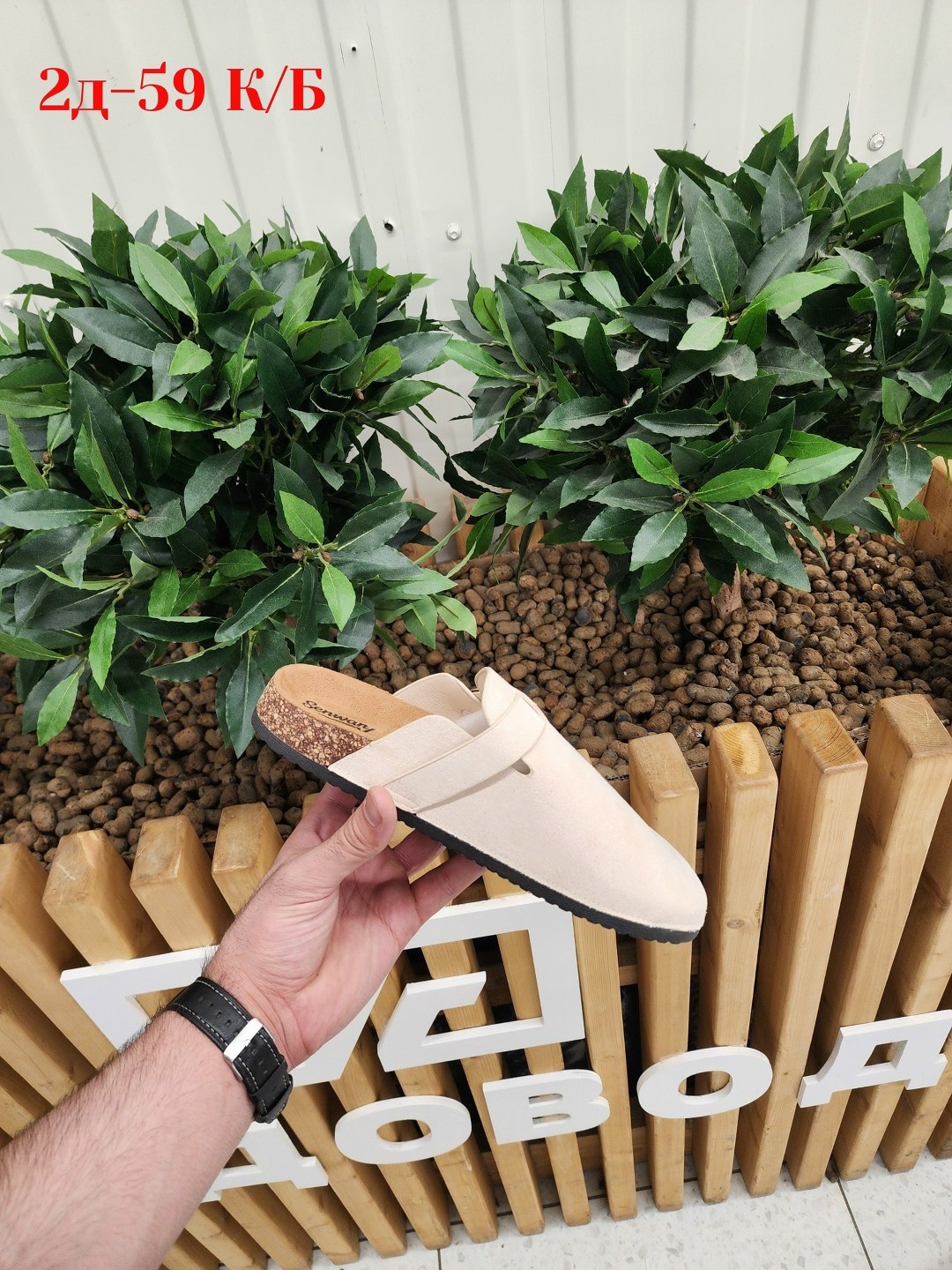 ,тапки модные,замшевые сабо,тапочки модные,сабо и мюли