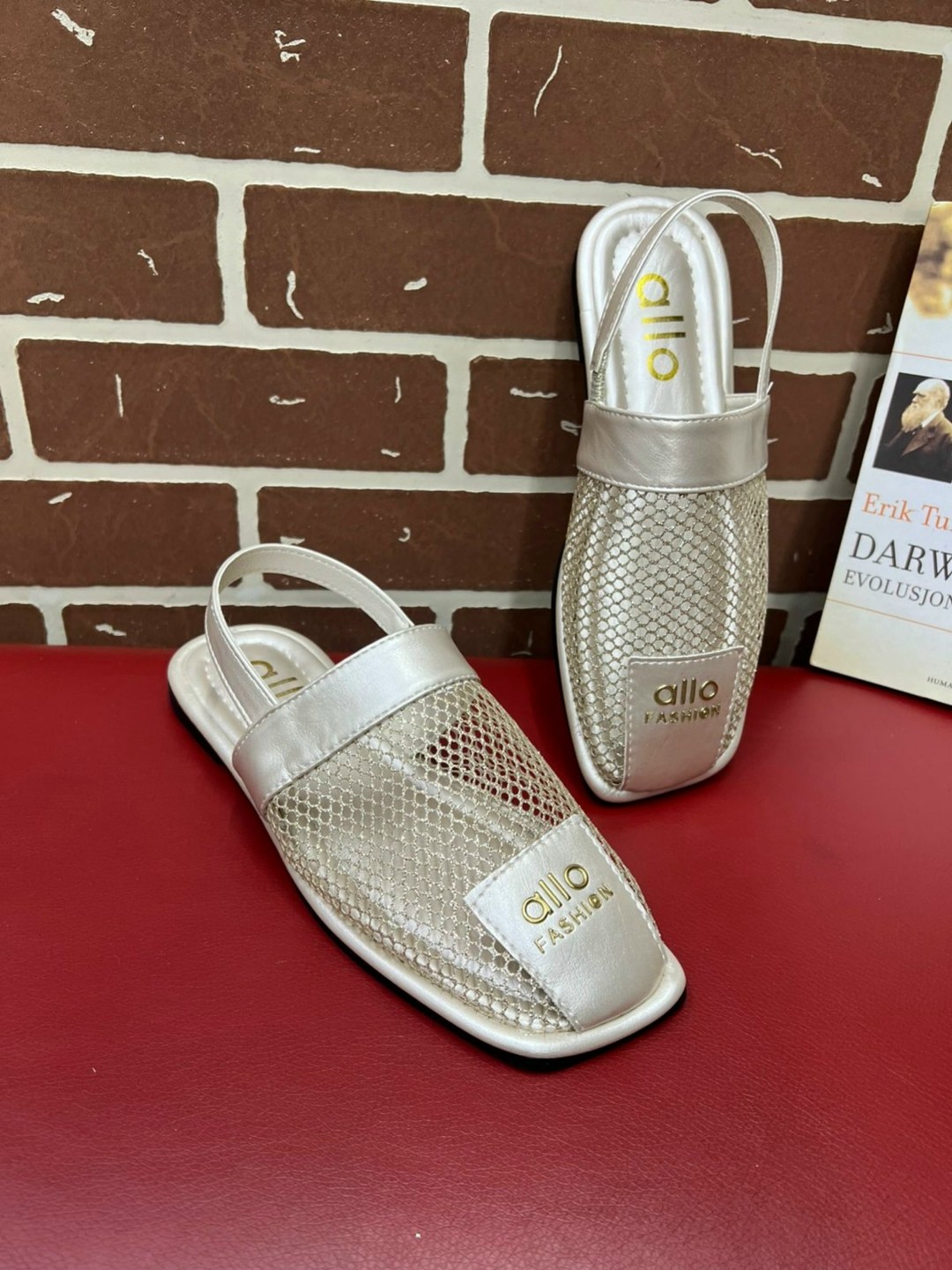 ,шлепанцы женские,женские босоножки,женская ,обуви