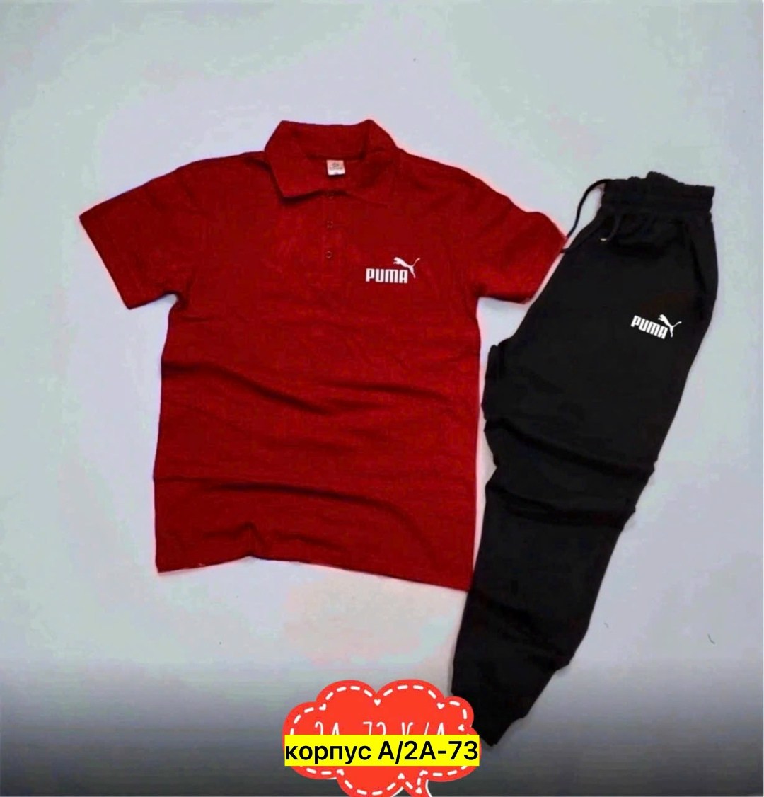 спортивный костюм мужской puma,мужские спортивные костюмы,спортивные костюм,костюм мужской puma,костюм поло
