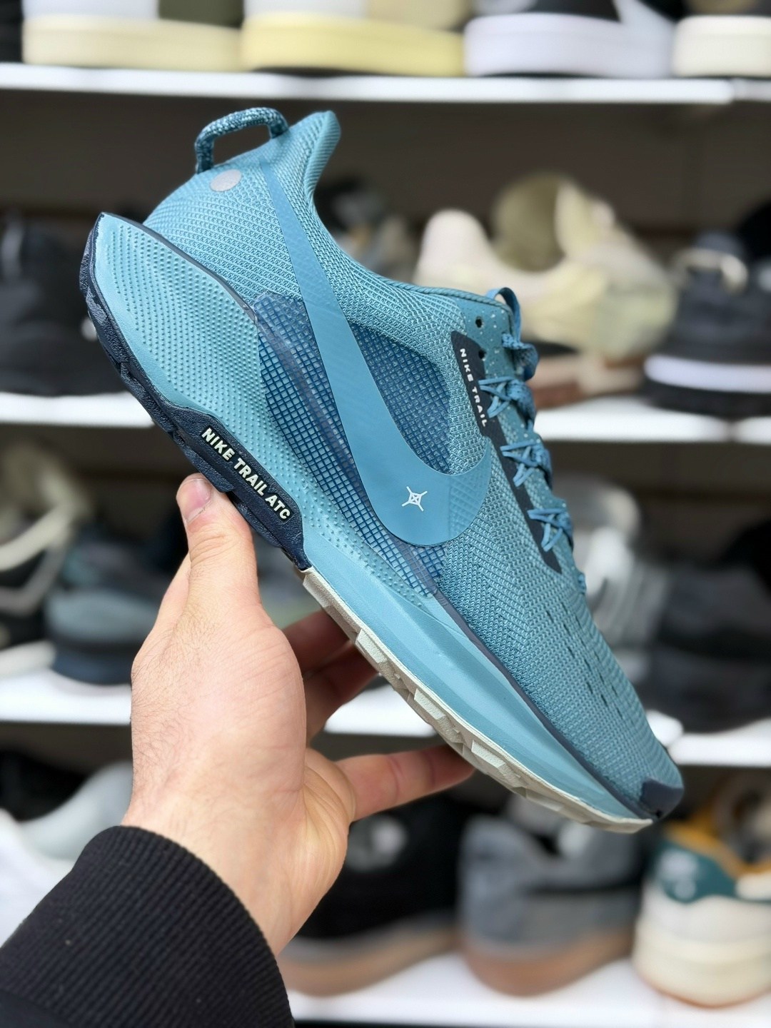 кроссовки,nike pegasus trail 5 gore tex,кроссовки nike pegasus trail,nike pegasus trail 5,кроссовки nike