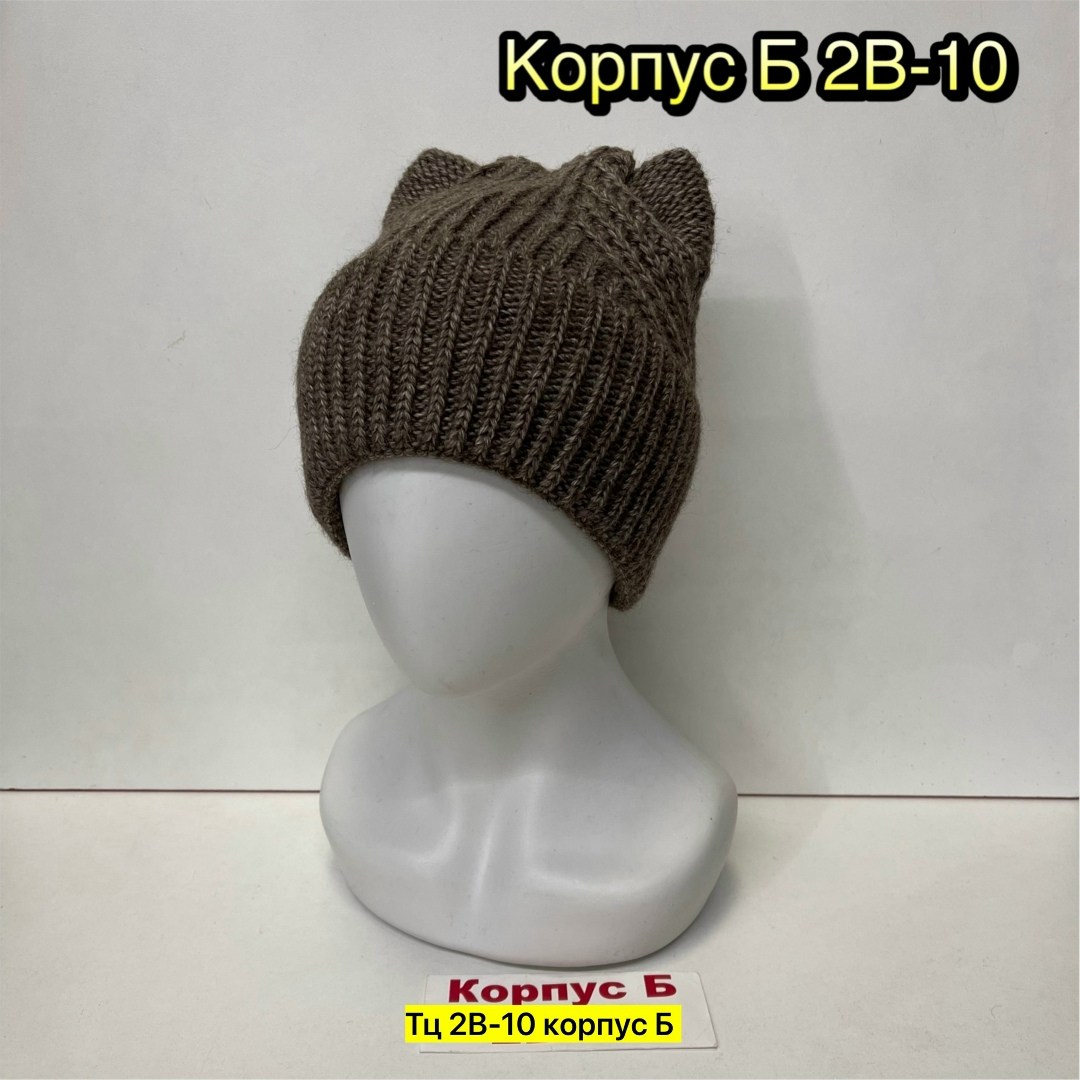 шапка женская,шапка бини женская,шапка женская меховая,шапка модная,шапка бини