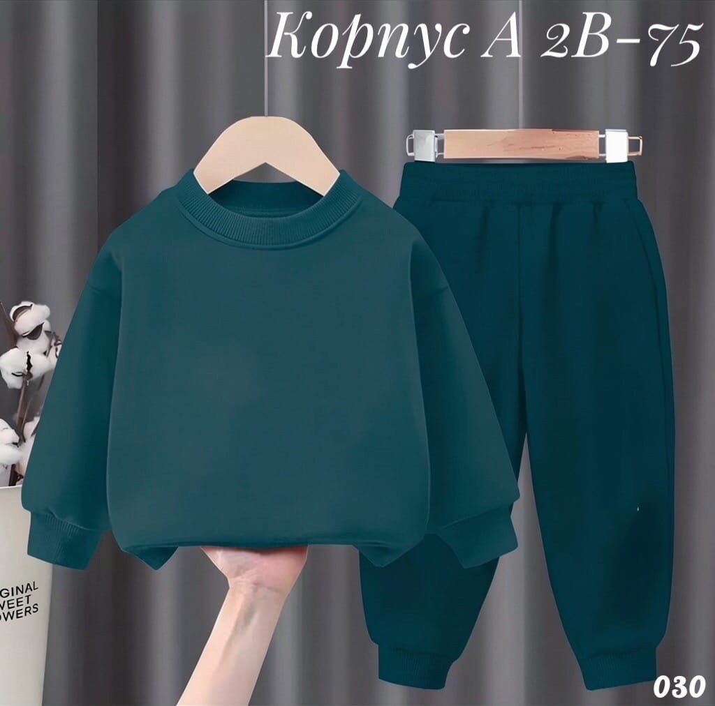 комплект костюм,костюм на флисе,детский костюм,детский спортивный костюм,костюм спортивный для мальчика