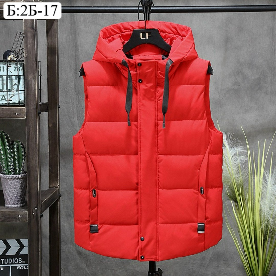 жилет утепленный мужской,мужской жилет с капюшоном,жилет мужской,жилетка гуччи мужская,жилет мужской теплый